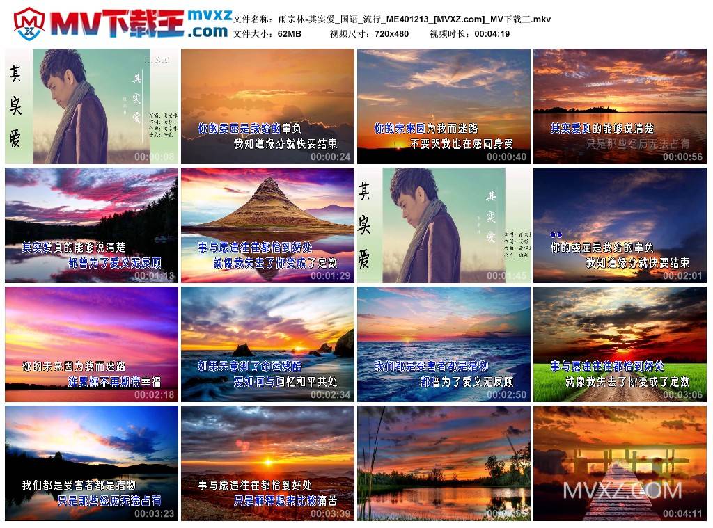 雨宗林-其实爱_国语_流行_ME401213